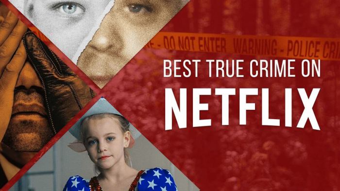 True crime documentaries on Netflix